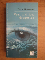 David Grossman - Vezi mai jos: Dragostea