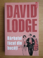 David Lodge - Barbatul facut din bucati
