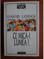 David Lodge - Ce mica-i lumea!