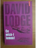 David Lodge - Ce mica-i lumea!