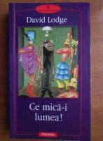 David Lodge - Ce mica-i lumea!