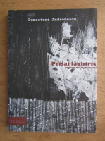 Demostene Andronescu - Peisaj launtric