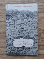 Demostene Andronescu - Peisaj launtric