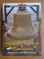 Demostene Andronescu - Reeducarea de la Aiud. Peisaj launtric