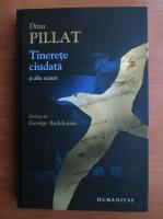 Dinu Pillat - Tinerete ciudata si alte scrieri