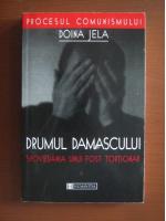 Doina Jela - Drumul Damascului. Spovedania unui fost tortionar