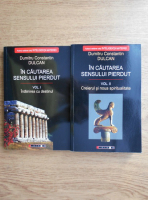 Dumitru Constantin Dulcan - In cautarea sensului pierdut. Intalnirea cu destinul. Creierul si noua spiritualitate (2 volume)