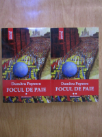 Dumitru Popescu - Focul de paie (2 volume)