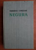 Eusebiu Camilar - Negura