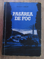 Eusebiu Camilar - Pasarea de foc