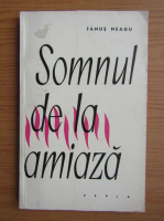 Fanus Neagu - Somnul de la amiaza