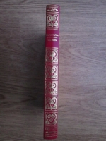 Franz Kafka - Castelul