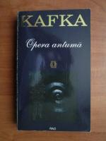 Franz Kafka - Opera antuma