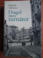 Gabriel Liiceanu - Dragul meu turnator