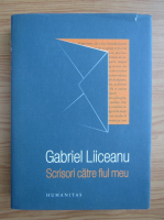 Gabriel Liiceanu - Scrisori catre fiul meu
