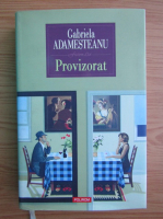 Gabriela Adamesteanu - Provizorat