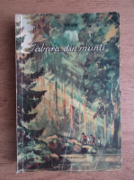 Gellu Naum - Tabara din munti