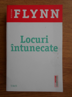 Gillian Flynn - Locuri intunecate