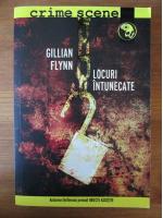 Gillian Flynn - Locuri intunecate