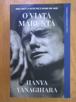 Hanya Yanagihara - O viata marunta