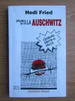 Hedi Fried - Drumul la si de la Auschwitz