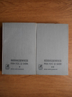 Henryk Sienkiewicz - Prin foc si sabie (2 volume)
