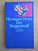 Hermann Hesse - Der Steppenwolf