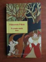 Hermann Hesse - Pe urmele visului. Basme