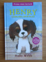 Holly Webb - Henry, catelusul de pe plaja