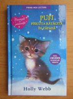 Holly Webb - Pufi, pisicuta ratacita in zapada