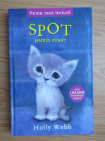 Holly Webb - Spot, pisoiul furat