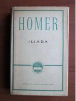 Homer - Iliada (cartonata)