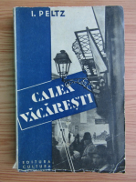 I. Peltz - Calea Vacaresti (volumul 1, 1933)