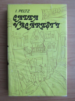 I. Peltz - Calea Vacaresti