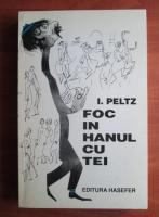 I. Peltz - Foc in hanul cu tei