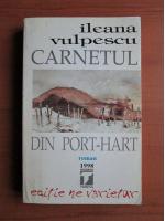 Ileana Vulpescu - Carnetul din port-hart