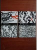 Ilf si Petrov - Vitelul de aur. Douasprezece scaune (2 volume)