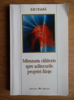 Ilie Cioara - Minunata calatorie spre adancurile propriei fiinte