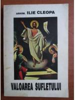 Ilie Cleopa - Valoarea sufletului