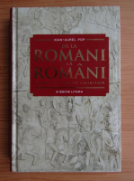 Ioan Aurel Pop - De la romani la romani