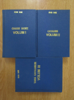 Ioan Dan - Curieru secret. Cavalerii. Taina cavalerilor (3 volume)