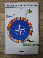 Ioan Grosan - Judetul Vaslui in Nato