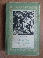 Ioan Slavici - Florita din codru 