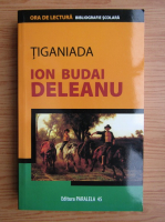 Ion Budai Deleanu - Tiganiada