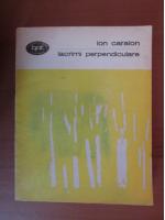 Ion Caraion - Lacrimi perpendiculare