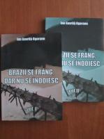 Ion Gavrila Ogoranu - Brazii se frang, dar nu se indoiesc (volumele 1, 2)