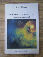 Ion Manzat - Prin tunelul spiritual. Roman transpersonal