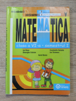Ion Rosu, Constantin Saraolu, Gheorghe Craciun - Matematica, clasa a VI-a, semestrul I