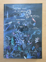 Iordan Chimet - Inchide ochii si vei vedea orasul