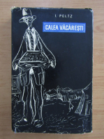 Isac Peltz - Calea Vacaresti